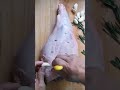 👩‍🍳 easy cooking roast leg of lamb 烤羊腿