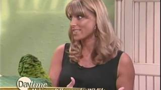 Kelly Diedring Harris on Daytime