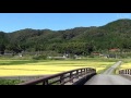 【鉄道のある風景】 jr芸備線 備後国西城川の秋 20 sep 2015 landscape with railways japan.