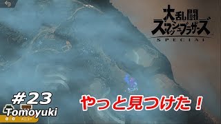 #23【スマブラSP】聖地の見えざる路