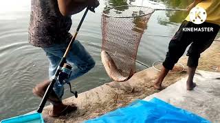 যশোর তরফ নোয়াপাড়া মাছ শিকার #fishing #bhojpuri #fish