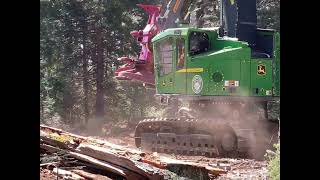 Sierra Cascade Logging Conference 2022 In-Woods Demonstration