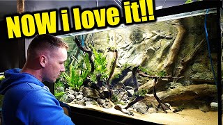 An aquarium rescape and set up