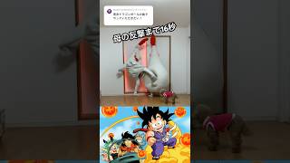 [Makafushigi Adventure!] I thought it was a cool sound but it's my mom #doragonball #viral #fnf