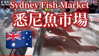 EP162[澳洲篇🇦🇺］悉尼魚市場，SMM2H港人移居大馬