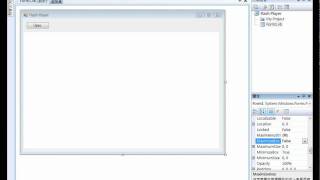 Visual Basic 2008 Flash Player