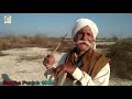 punjabi loog ਭੇਡ ਬੱਕਰੀਆਂ ਚਾਰਨ ਵਾਲੇ 47 ਦੇ ਬਾਬਾ ਜੀ punjabi gaderia punjabi culture