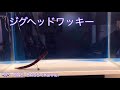 depsキンクーエアー5.8in水中イメージ動画❗️