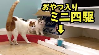 爆走する車に乗ったおやつを追いかける猫【関西弁でしゃべる猫】 【猫アテレコ】