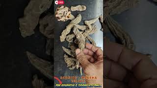 Vatsnabh | बचनग | Aconitum Ferox |  Bachnag | Meetha teliya, Bachnag, Vachnag | Vasnoobhi #jayherbs