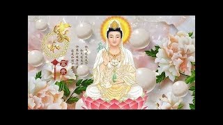 Best Buddha Wisdom Quotes & Music Playlist | Guanyin bodhisattva , Namo amituofo