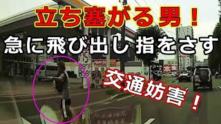 迷惑運転者たち　No.1583　立ち塞がる　男！・・急に飛び出し　指をさす・・交通妨害！・・【トレーラー】【車載カメラ】