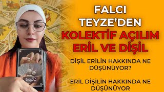 FALCI TEYZE'DEN KOLEKTİF AÇILIM, DİŞİL VE ERİL, SİZİN NİYETİNİZE OLSUN