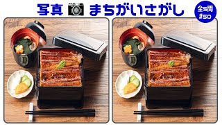 🔵間違い探し全5問🔵ちょっと難しい写真編！認知症予防に最適な面白いクイズ脳トレvol50