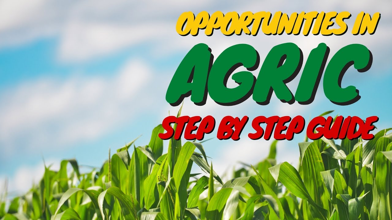 Opportunities In Agriculture Part 2 Step By Step Guide - YouTube