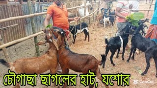 @ শুক্রবার ৩১ জানুয়ারি ২০২৫ | খামার উপযোগী খাসি ছাগলের দাম দর জানুন | ছাগল পালন, গরুর হাট ২০২৫