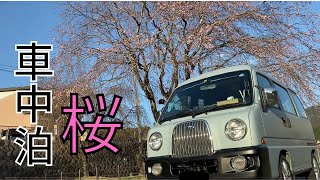 【車中泊】自衛隊辞めて車上生活始めました。（25泊目）～桜の下で車中泊～