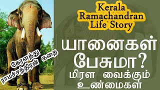 Thechikottukavu Ramachandran History | Interesting facts - elephants | Tamil | கேரளா ராமசந்திரன்