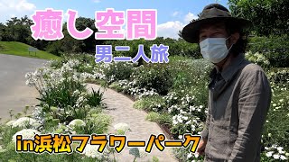 【浜松観光】日々の疲れをリフレッシュしてきた【カーメン君】【園芸】【ガーデニング】【園芸初心者】