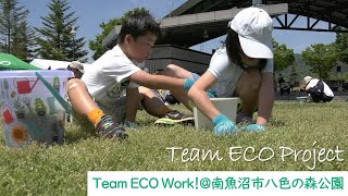 Team ECO Work！＠グリーンACTION IN 南魚沼市八色の森公園【Team ECO Project2024🌱】