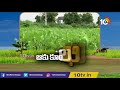 వరంగల్ ఖిల్లా కోటల మధ్య ఆకు కూరల సాగు leafy vegetables cultivation matti manishi 10tv news