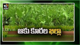 వరంగల్ ఖిల్లా కోటల మధ్య ఆకు కూరల సాగు: Leafy Vegetables Cultivation | Matti Manishi | 10TV News