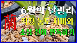 6월의 난관리에 대하여 알아 봅니다.