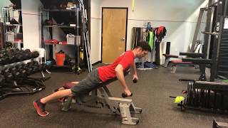 Chest Supported DB Scarecrow