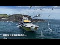 【澎湖之旅ep.2】鳥嶼潮間帶生態之旅｜無人島巡航｜賞燕鷗｜澎澎灘水上活動