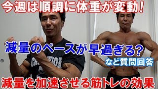 減量17週目で変えた食事内容やダイエットの成果が早い理由＆減量初期の体重減への質問回答