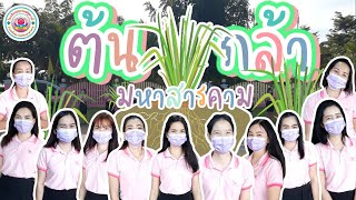 เพลงต้นกล้ามหาสารคาม - โรงเรียนอนุบาลณัฐชาวดี【 OFFICIAL VERSION】