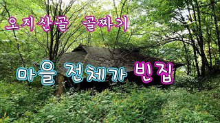 나무 숲속에 버려진 빈집 들 //오지산골 마을 전체가 빈집 //  폐가 !!