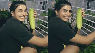 Actress Samantha Plucking Vegetables From Her Home Garden | Daily Culture