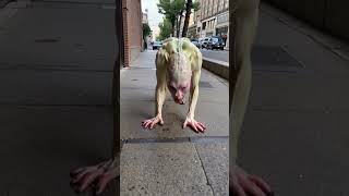 Alien 👽 in USA #shorts #shortsvideo #shortsfeed #youtubeshorts #yt #aivideo #ai £#viralvideo #dog