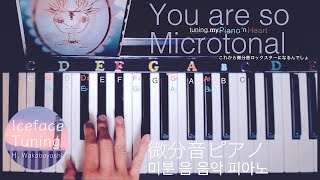 微分音ピアノ 24平均律 You Are So Microtonal ユー・アー・ソー・マイクロトーナル