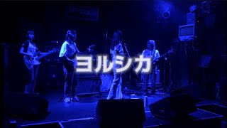 ヨルシカ 夏ライブ2023【関大軽音サークルぺるぺる】