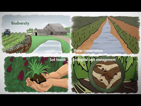 What are the downsides to sustainable farming?