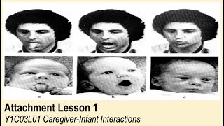 A-Level Psychology (AQA): Attachment - Caregiver-Infant Interactions