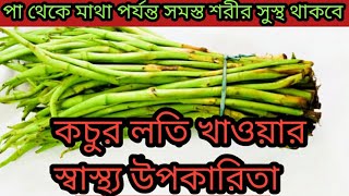 কচুর লতি খাওয়ার উপকারিতা @kochur loti khawar upokarita @Eating benefits of taro stolon@Arum stolon