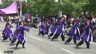 北陸ヨサコイやろ舞華さんp　at 17回能登よさこい祭り(2013年)