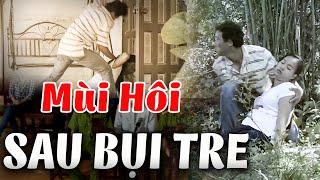 MÙI HÔI SAU BỤI TRE | Truy Tìm Bằng Chứng 2024 | Ký Sự Pháp Đình THVL | Chuyện Cảnh Giác Mới THVL