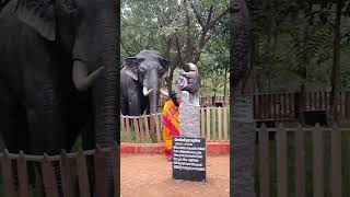 Nagaravanam park guntur