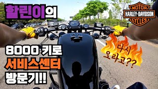 [POV] 할리데이비슨 포티에잇 8000키로 점검 할리 일산점 방문기 아이언883