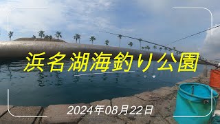 【年間200日以上釣りに出掛けてるリアルな釣り動画】2024年08月22日 浜名湖海釣り公園釣り情報