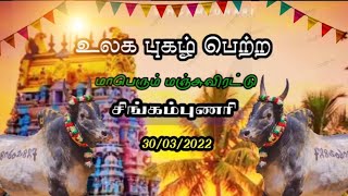 Singampunari manjuvirattu | 2022-சிங்கம்புணரி மஞ்சுவிரட்டு-2022 | 120 ஏக்கர் பரப்பு