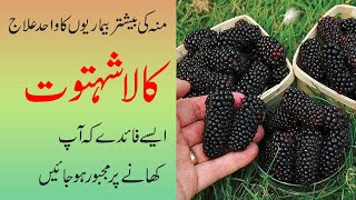 Amazing Benefits of Mulberries (Kala Shahtoot) for you.