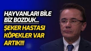 Göbek ve Bel Büyüdükçe Ömür Kısalır❗ | Ender Saraç