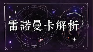 【雷諾曼牌卡解析】26 書籍 ▋撲克牌 塔羅牌 占卜自學