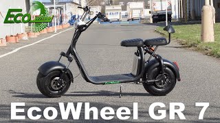 Elektrická koloběžka EcoWheel GR7 2020/Electric scooter EcoWheel GR7 2020