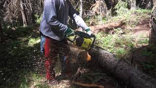 Pioneer P41 - Cutting some firewood